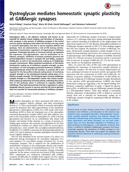 Dystroglycan Mediates Homeostatic Synaptic Plasticity at Gabaergic Synapses