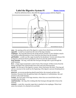 Label the Digestive System #1 Human Anatomy Read the Definitions Below, Then Label the Digestive System Anatomy Diagram