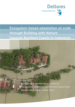 Ecosystem-Based Adaptation at Scale Through Building with Nature: Towards Resilient Coasts in Indonesia