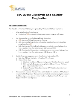 BSC 2085: Glycolysis and Cellular Respiration