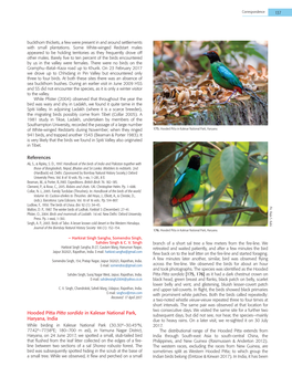 Hooded Pitta Pitta Sordida in Kalesar National Park, Subsequent Days, but Did Not See, Nor Hear, the Species—Mainly Haryana, India Due to Heavy Rains