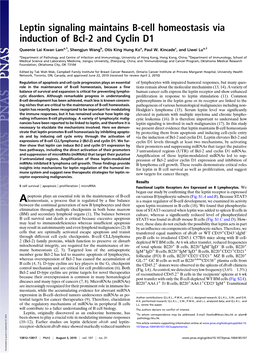 Leptin Signaling Maintains B-Cell Homeostasis Via Induction of Bcl-2 and Cyclin D1