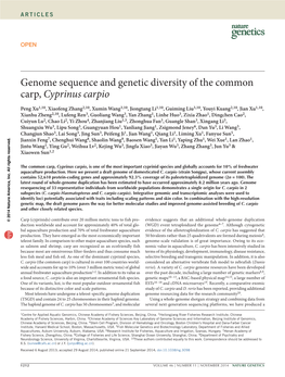 Genome Sequence and Genetic Diversity of the Common Carp, Cyprinus Carpio