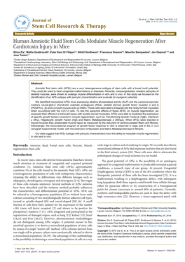 Human Amniotic Fluid Stem Cells Modulate Muscle Regeneration