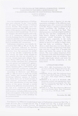 Xxxvii Variation in the Shell Morphology of Calliostoma Ceramicum (Gastropoda:Trochidae) Gary W