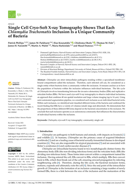 Single Cell Cryo-Soft X-Ray Tomography Shows That Each Chlamydia Trachomatis Inclusion Is a Unique Community of Bacteria