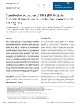 Terminal Truncation Causes Human Sensorineural Hearing Loss