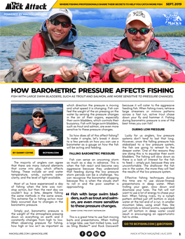 How Barometric Pressure Affects Fishing Fish with Large Swim Bladders, Such As Trout and Salmon, Are More Sensitive to Pressure Changes