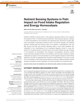 Nutrient Sensing Systems in Fish: Impact on Food Intake Regulation and Energy Homeostasis