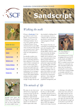 Sandscript Number 2 November 2007