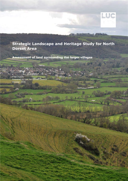 North Dorset Area Larger Villages Assessment