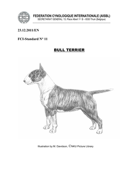 Bull Terrier