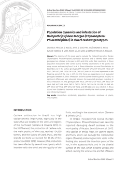 (Thysanoptera: Phlaeothripidae) in Dwarf Cashew Genotypes