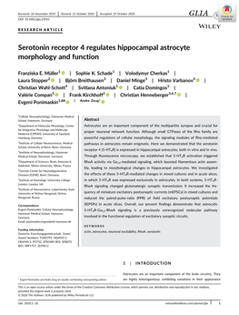 Serotonin Receptor 4 Regulates Hippocampal Astrocyte Morphology and Function