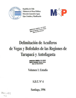 Delimitación De Acuíferos De Vegas Ybofedales De Las Regiones De Tarapacá Yantofagasta