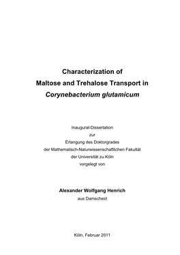 Dissertation Alexander Henrich