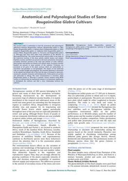 Anatomical and Palynological Studies of Some Bougainvillea Glabra Cultivars