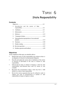 TOPIC 6 State Responsibility