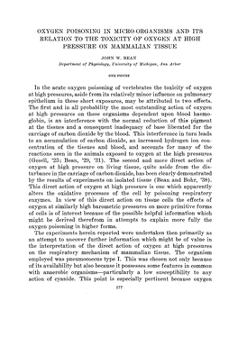 Oxygen Poisoning in Micro-Organisms and Its Relation to the Toxicity of Oxygen at High Pressure on Mammalian Tissue