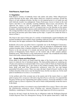 Field Reserve, Kapiti Coast 1.1 Vegetation Field Reserve Consists of Kohekohe Forest with Mahoe and Nikau. Nikau (Rhopalostylis