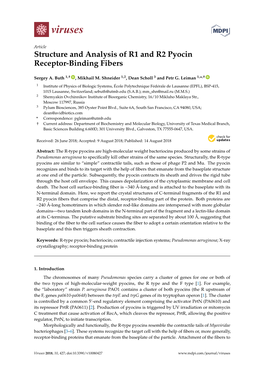 Structure and Analysis of R1 and R2 Pyocin Receptor-Binding Fibers