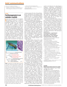 Parthenogenesis in an Outsider Crayfish