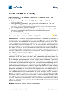 Avian Satellite Cell Plasticity