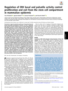 Regulation of ERK Basal and Pulsatile Activity Control Proliferation and Exit from the Stem Cell Compartment in Mammalian Epidermis