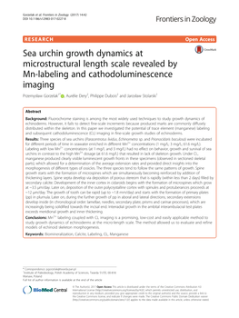 Sea Urchin Growth Dynamics at Microstructural Length Scale