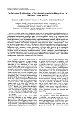 Evolutionary Relationships of the Anolis Bimaculatus Group from the Northern Lesser Antilles