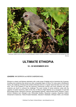 Ultimate Ethiopia