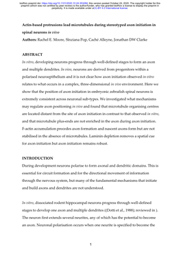 Actin-Based Protrusions Lead Microtubules During Stereotyped Axon Initiation In