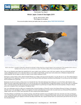 Winter Japan: Cranes & Sea Eagles 2019