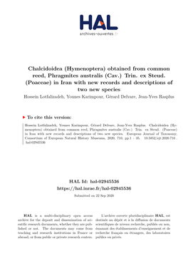 Chalcidoidea (Hymenoptera) Obtained from Common Reed, Phragmites Australis (Cav.) Trin