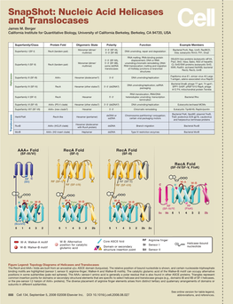 Snapshot: Nucleic Acid Helicases and Translocases James M