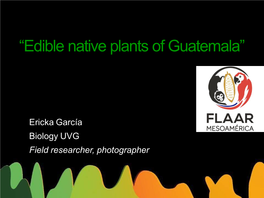 “Edible Native Plants of Guatemala”