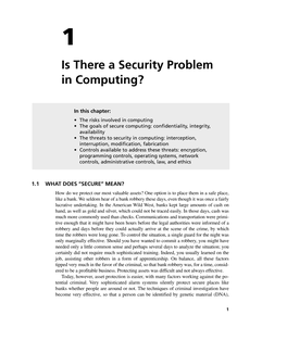 Is There a Security Problem in Computing?