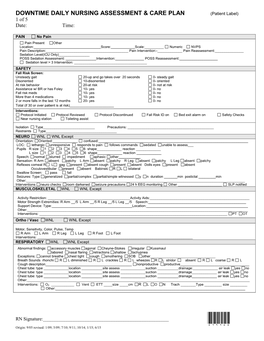 Downtime Daily Nursing Assessment & Care Plan