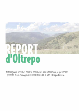 Report-Doltrepo1.Pdf