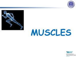 MUSCLES Muscular System Muscle Tissue: Histology