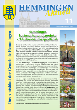 Hemmingendiese Ausgabe Erscheint Auch Online 11 Donnerstag, 18