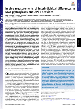 In Vivo Measurements of Interindividual Differences in DNA