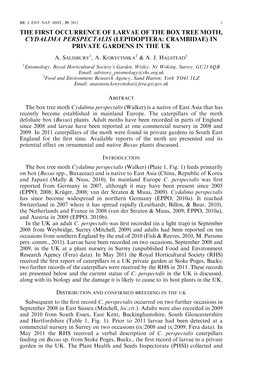 The First Occurrance of Larvae of the Box Tree Moth Cydalima Perspectalis