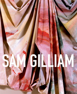 Binstock Sam Gilliam.Ps