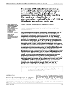 As Microbacterium Resistens Comb. Nov