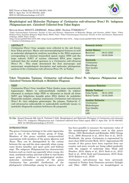 Morphological and Molecular Phylogeny of Cortinarius Rufo-Olivaceus (Pers.) Fr