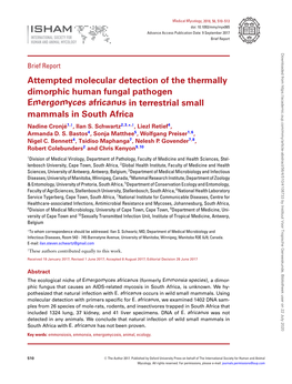 Attempted Molecular Detection of the Thermally Dimorphic Human Fungal