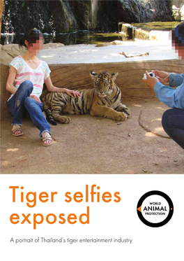 Tiger Selfies Exposed: a Portrait of Thailand's Tiger Entertainment Industry