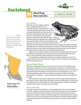 Wood Frog LENGTH: 2 to 6CM 11 Rana Sylvatica