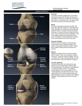 Femur Tibia Fibula Patella Lateral Meniscus Medial Meniscus Anterior